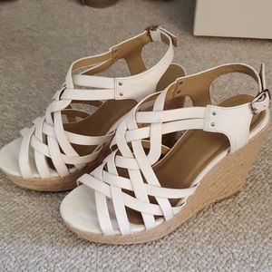 (3/$40)Wedges